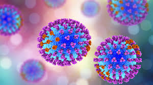Top ten deadliest viruses