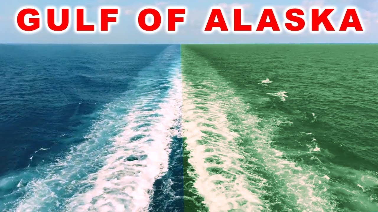 Gulf of alaska : Mysterious Place where two oceans meet underwater